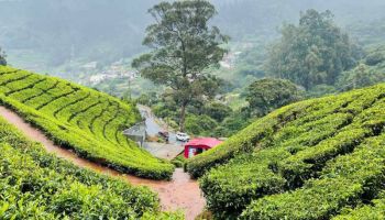 6 Night - 7 Days Best Of Karnataka Tour