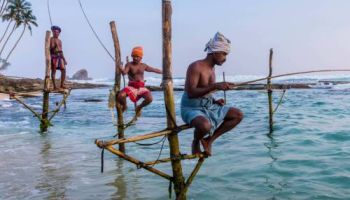 5 Night - 6 Days Sri Lanka Tour