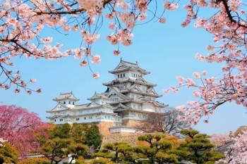 China With Japan Cherry Blossom - Tokyo - Beijing Tour