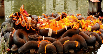 Gorkha Tour Packages