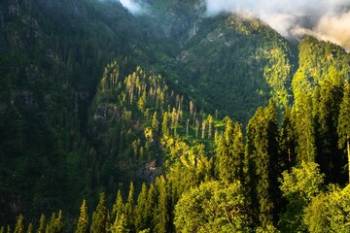 Kasol Tour Packages