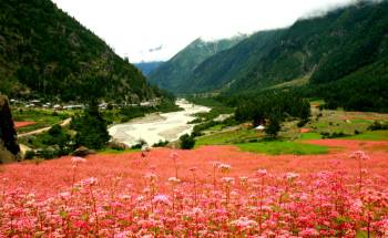 9 Nights & 10 days Shimla Kinnaur Spiti Manali package