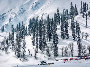 9 Night 10 Days Kashmir Package