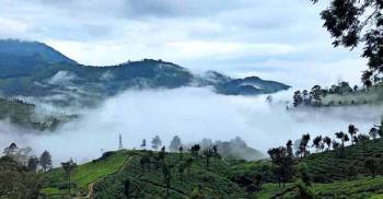 Thekkady Tour Packages