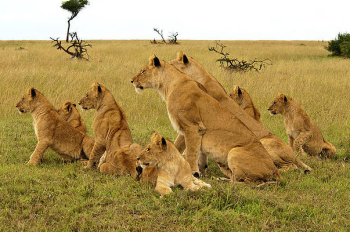 Arusha Tour Packages