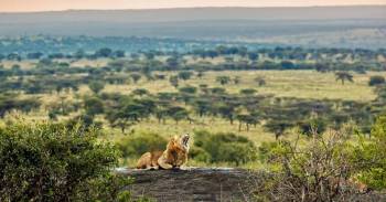 18 Day The Best Of Kenya - Tanzania Wildlife Escape Tour