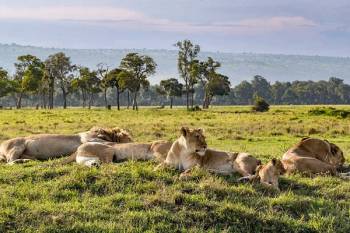 Arusha Tour Packages