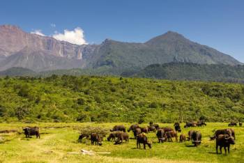 7D 6N Camping Safari Tarangire - Manyara - Ngorongoro - Serengeti Tour