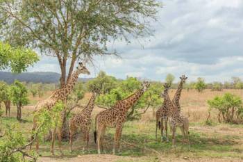 Arusha Tour Packages