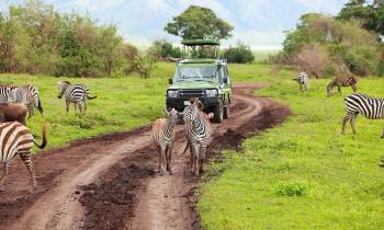 Arusha Day Trip