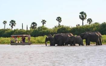 2 Days 1 Night Safari To Selous - Nyereren Tour