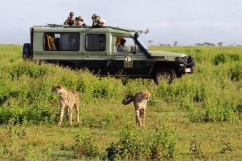 14 Nights - 15 Days Best Of Southern And Northern Tanzania Safari Tour