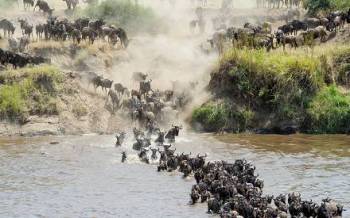 3-Day Winter Great Migration Serengeti & Ngorongoro Trip