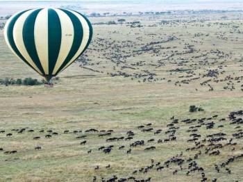 3-Day Group Tour to Serengeti & Ngorongoro