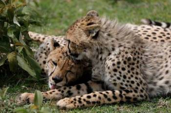 Arusha Tour Packages