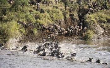 Arusha Tour Packages