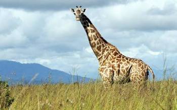 Arusha Tour Packages