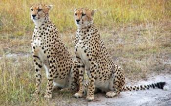 Arusha Tour Packages