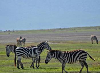 Arusha Tour Packages