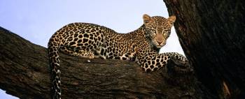 Arusha Tour Packages