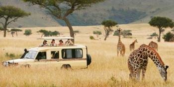 3 Day Safari Tarangire - Lake Manyara - Ngorongoro Crater Tour