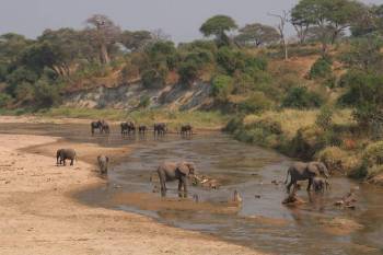 1 Night 2 Day Tarangire and Ngorongoro Joining Group Safari