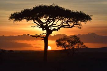 Ngorongoro Tour Packages