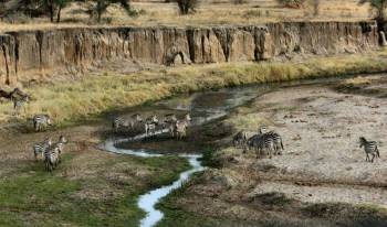 5 Night 6 Day Tarangire, Serengeti, Ngorongoro and Lake Manyara Joining Group Safari