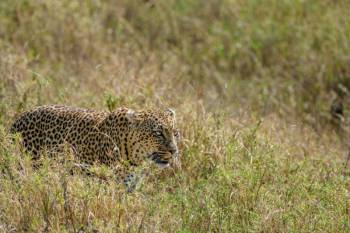 Manyara Tour Packages