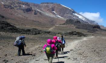 8 Days Rongai Route - Mount Kilimanjaro Tour