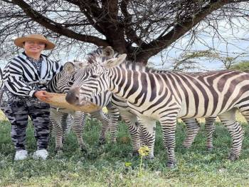 6D Safari To Tarangire-Serengeti-Ngorongoro Crater-Lake Manyara Joining Group Tour