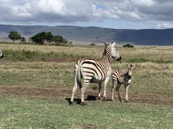 Arusha Tour Packages