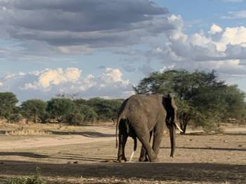 Ngorongoro Tour Packages