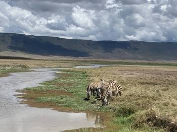 9 Nights 10 Days Safari, Wildlife Experience and Adventure Tour