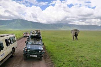 Ngorongoro Tour Packages