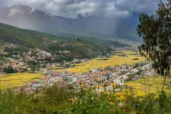 Paro view