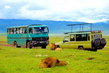 8 Day Tour Of Anthetic Maasai Village And Mara River Migration Trip