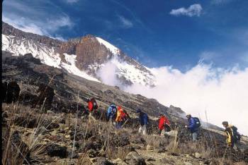 1 Day Kilimanjaro Trekking Tour