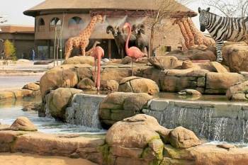 5 Night 6 Day Dubai Package