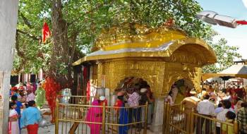 7 Devi Darshan Tour Package From Chandigarh