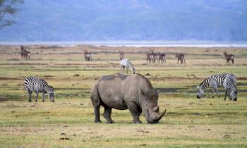 3Day Tarangire - Ngorongoro - Lake Manyara Budget Safari Tour