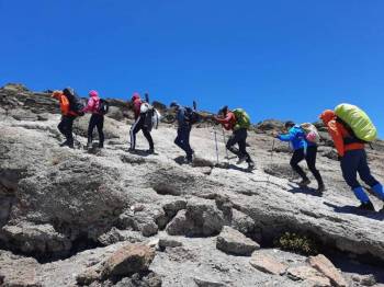 6 Day Kilimanjaro Climbing Through Lemosho Route Tour