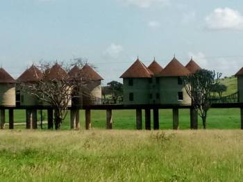 1 Night 2 Day Safari