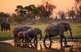 5-Day Exquisite Wilderness Safari