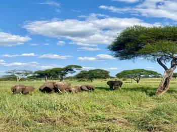 5-Day Exquisite Wilderness Safari