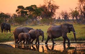 Arusha Tour Packages
