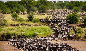 Arusha Tour Packages
