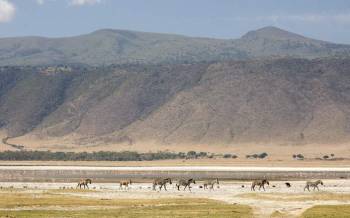 3-Day Serengeti & Ngorongoro Luxury Safari Tour