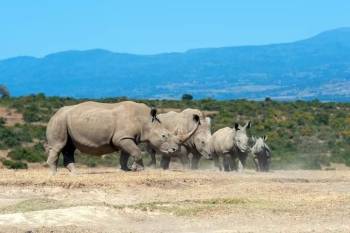 5 Days - Tanzania Splendor Safaris