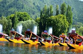 6N - 7D Kashmir Package